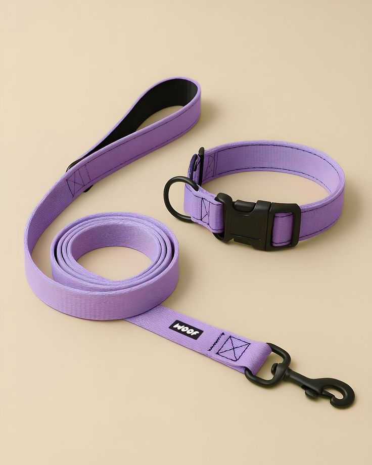 Pet Leash