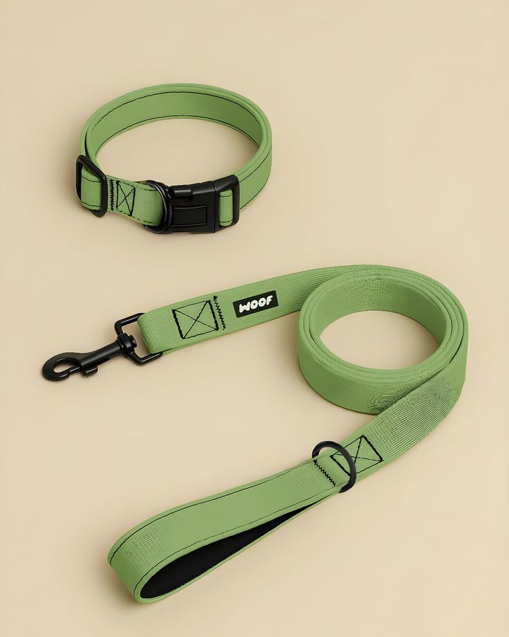 Pet Leash